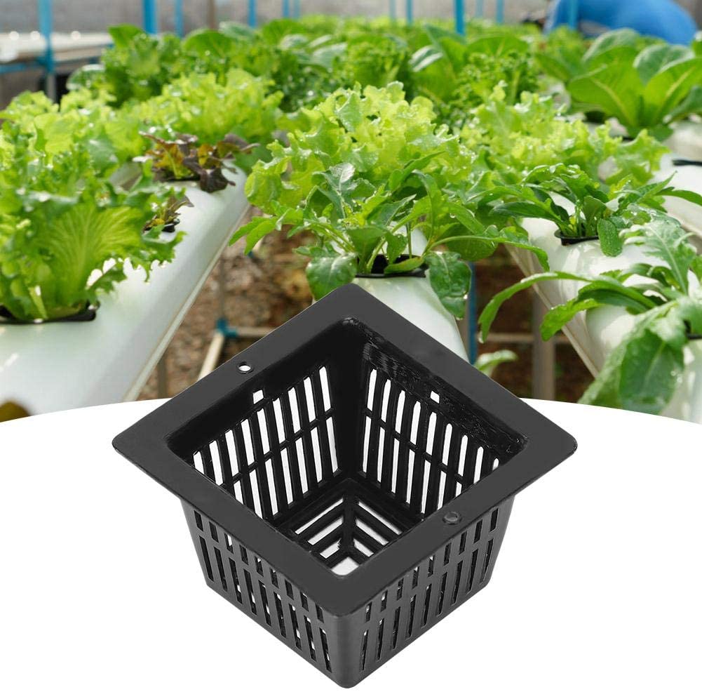 Mesh Net Pot Square 50 pc