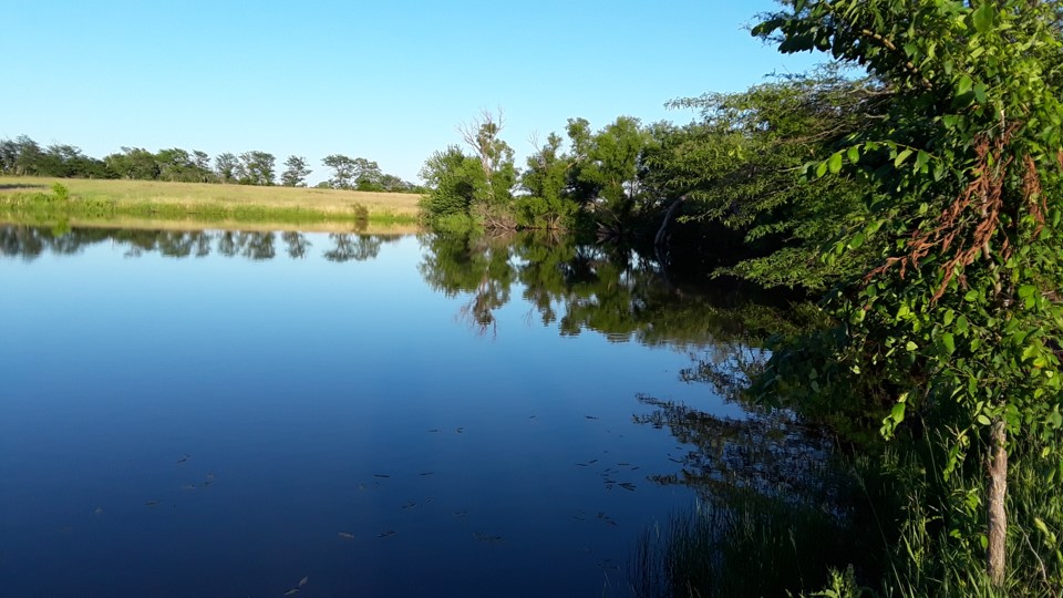 Right Choice Farms little chunk of heaven